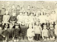 31769 439801812432 577347432 5479167 1240058 n